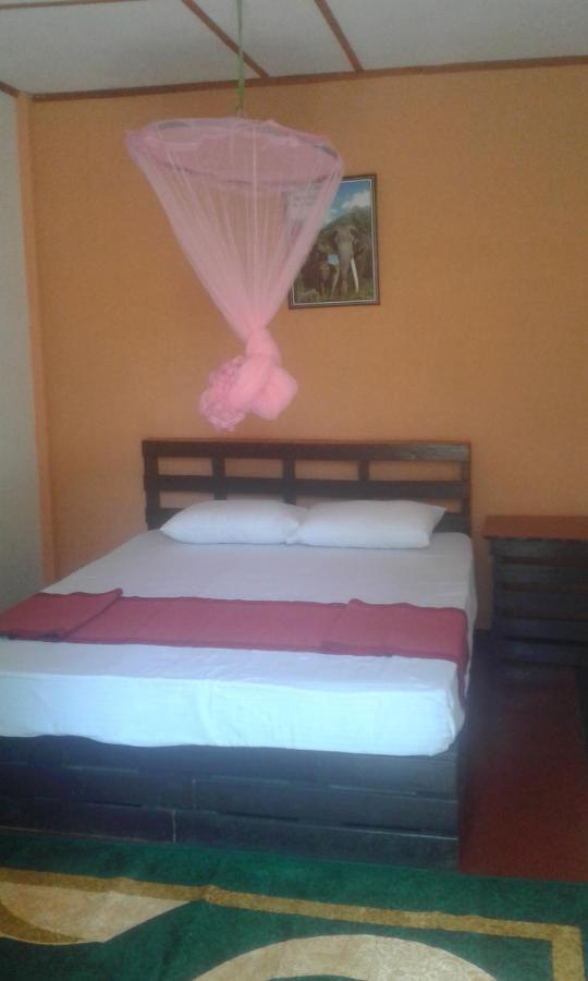 Lily Adam'S Peak Bed and Breakfast Nallathanniya Εξωτερικό φωτογραφία