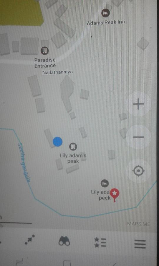 Lily Adam'S Peak Bed and Breakfast Nallathanniya Εξωτερικό φωτογραφία
